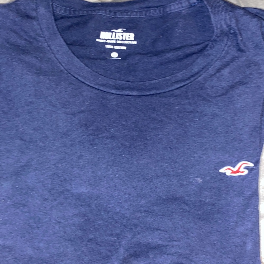 Blue Hollister tee